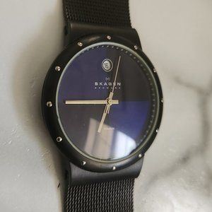 Men's Skagen Denmark analog watch